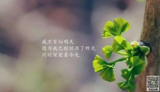 科普11位手机号码历史发展